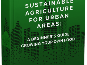 Sustainable Agriculture for Urban Areas: A Beginner's Guide to Growing Your Own Food